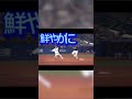 塩見泰隆 応援歌 プロ野球 応援曲 応援song 野球