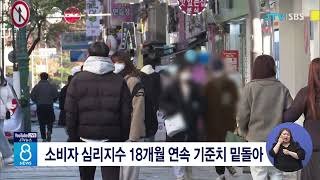 소비자 심리지수 18개월 연속 기준치 밑돌아