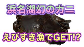 まさかの！！浜名湖えびすき漁で幻のカニGET!?