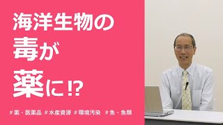 「海洋生物の魅力　毒を薬にかえる」