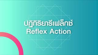 ปฏิกิริยารีเฟล็กซ์ (Reflex Action)