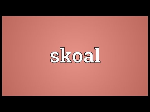 What does Skoal mean?