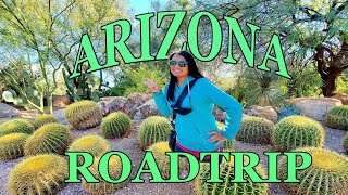 EXPLORE ARIZONA | PLACES TO EAT \u0026 GO IN ARIZONA | ASIAN FOOD \u0026 MARKET IN ARIZONA | COOL THINGS TO DO