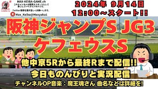 第26回 阪神ジャンプS JG3 ケフェウスS 他中京5Rからのんびりレース実況配信