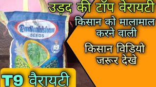 टॉप वेरायटी उड़द की उन्नत किस्म | Blackgram New Varieties | उड़द T9 उड़द की पूरी जानकारी | T9 उड़दिय