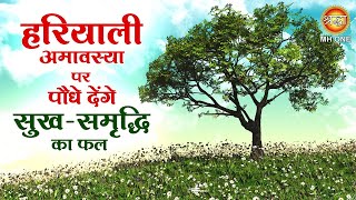 हरियाली अमावस्या पर पौधे देंगे सुख-समृद्धि का फल | Hariyali Amavasya 2023 | Sawan Amavaysa 2023