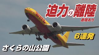 【4K】成田空港 さくらの山公園 34運用迫力の離陸6連発(着陸あり)