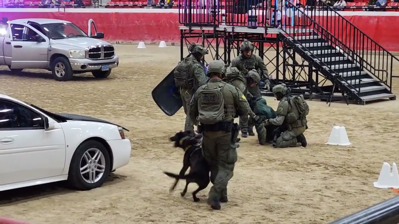 2024 Pain Compliance Trials | Las Vegas Police K9 LVMPD | Live IRL ...