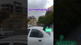 Iran,shiraz,raining,overflow|عجب بارونی اومد شیراز. #shiraz #rain #شیراز #بارون #باران #سیل