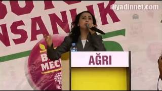 HDP Ağrı Mitingi - 2 HAZİRAN 2015