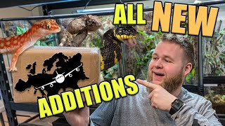 GETTING 5 NEW RARE REPTILES FROM EUROPE!!!