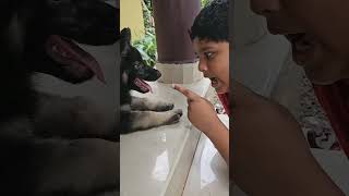 വീട്ടിൽ ഒരു പുതിയ ആൾ കൂടി എത്തി#greenvibes #home #puppyvideos #puppytraining