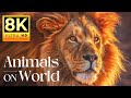 ANIMALS ON WORLD 8K ULTRA HD 120 FPS  | with Cinematic Sound (Colorful Animal Life)