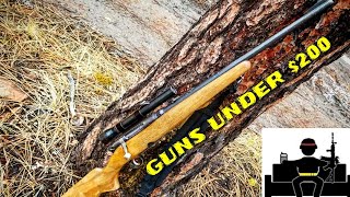 Guns Under $200: Revelation 225