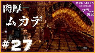 【実況】#27 ダークソウル リマスタード 「デーモン遺跡」-- DARK SOULS REMASTERED --