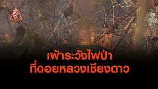 เฝ้าระวังไฟป่าที่ดอยหลวงเชียงดาว (4 เม.ย. 62)