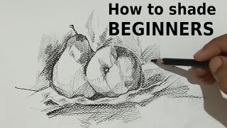 How to shade a Pear/ Pencil drawing tutorial for beginners/ Hatching method.
