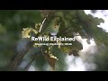 ReWild Explained | Deep Ecology | Biodiversity | OECMs