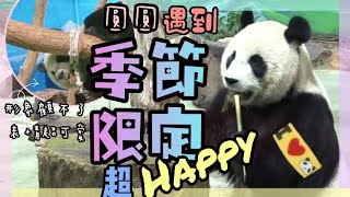 Yuanyuan is so happy today to have seasonal boutique dim sum arrow shoot Panda | Taipei City Zoo