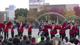 「名古屋学生チーム　鯱」　四日市よさこい2011　市民公園