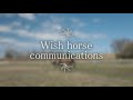 馬との絆【乗馬・馬術】bonds with horses【horse communication japan】