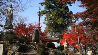 今高野山　龍華寺.　　Beautiful colored leaves of Hiroshima