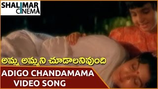 Amma Ammani Chudalani Undhi Movie || Adigo Chandamama Video Song || Vinod Kumar