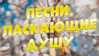 Заходи и Слушай! Здесь самые Красивые песни!