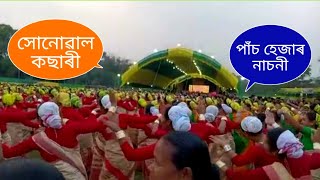 সোনোৱাল কছাৰী লেছেৰি নাচ // Sonowal Kachari Cultural Festival // Sonowal Kachari Lachari Bihu 🧡