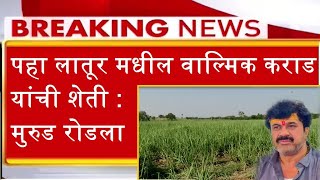 पहा आरोपी वाल्मिक कराड यांची लातूर मधील शेती  -  Latur - BEED NEWS