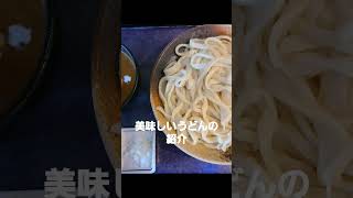 　冷や汁うどん　クリーミーカレーうどん　食べてみた