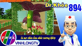 Dr. Khỏe - Tập 894: Lá mơ chữa đau nhức xương khớp