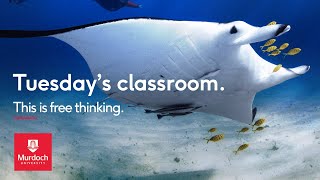 Tuesday's classroom - This is free thinking