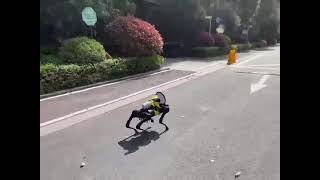 2022-3-29 上海 机器狗用来小区防疫广播 Shanghai, robot dog deployed to do the broadcast, re COVID-19 lockdown