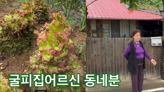 굴피집아래 동네분 만났어요.  굴피집 그위쪽 산골짜기에 살다가. 아래마을로 시집온지 60년. to live in the country