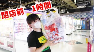 閉店1時間前から大量GET？UFOキャッチャー　とってき屋東京本店