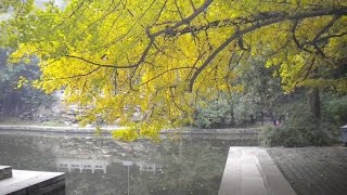 Xiangshan Park aka Fragrant Hills Park in Beijing China - Part 2 of 3