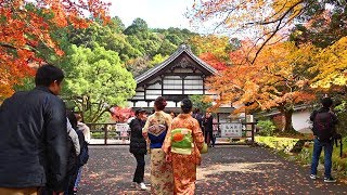 京都 南禅寺天授庵の紅葉は美しかった 　Kyoto Nanzenji autumn leaves