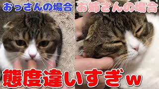 飼い主によって態度を露骨に変える猫ｗｗｗ【スコティッシュフォールド】【Scottish Fold】