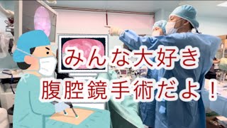 大型犬の腹腔鏡手術（避妊手術）を術野の外から見てみた。　＃腹腔鏡手術　＃動物病院　＃獣医師　＃避妊手術