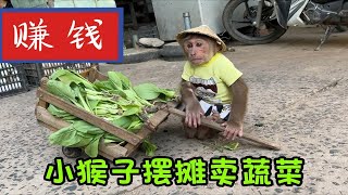 小猴子去菜园子摘蔬菜，到菜市场摆地摊卖，赚钱给小鸭子买米吃