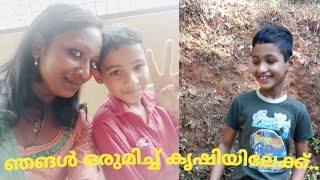 ഞങളുടെ ചെറിയ കൃഷി വിശേഷങ്ങൾ #Gavi Vlogz#travelvlog