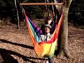 ハンモックマッサージno3 hammock massage by里山ハンモック