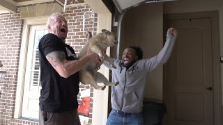 DDP Is Ready To Win The WWE 2K19 Million Dollar Challenge