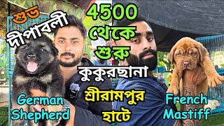 Best Pet Market in Kolkata । Serampore Dog Market । Low Price Puppy Sell in Kolkata