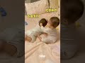 Funny Twin Babies Fighting Everyday #shorts