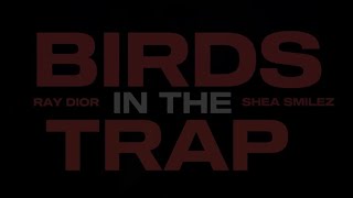 RAY DIOR X SHEA SMILEZ - BIRDS IN THE TRAP ( MUSIC )