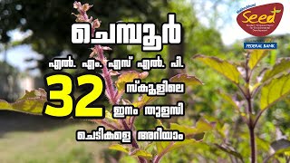 32 ഇനം തുളസി ചെടികളുമായി ചെമ്പൂര് എൽ.എം.എസ്.എൽ.പി സ്കൂൾ