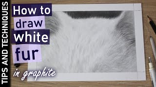 How to draw white fur in graphite | Drawing white cat fur