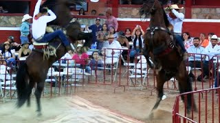 !! TORNEO ESTATAL DE CABALLOS BAILADORES EN LA MONUMENTAL DE MORELIA MICH¡¡21 DE MAYO DEL 2022!